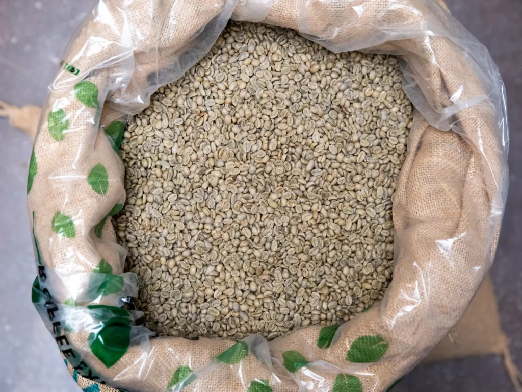 green-coffee-beans