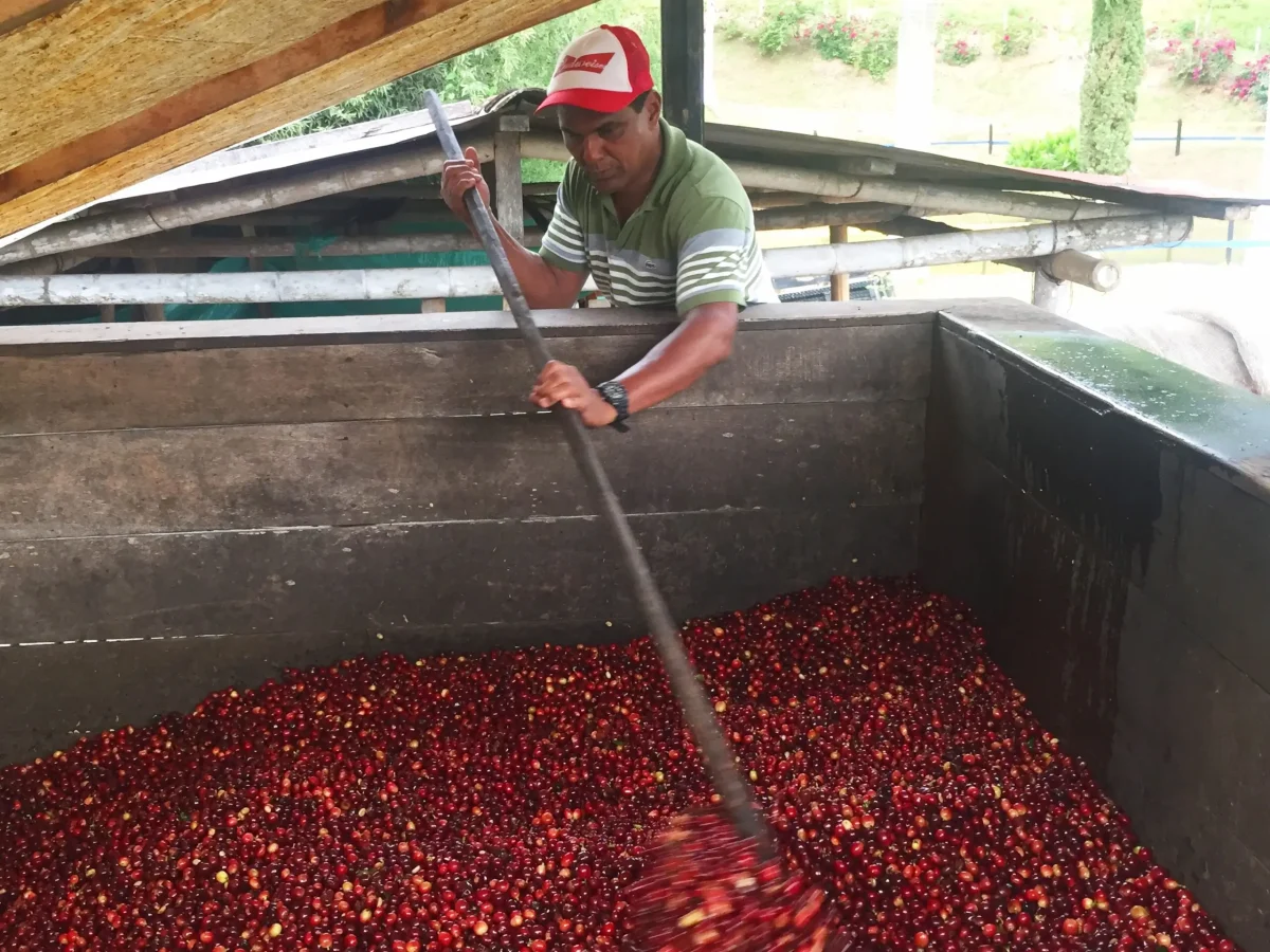 Esperanza-Fermenation-Tank-scaled